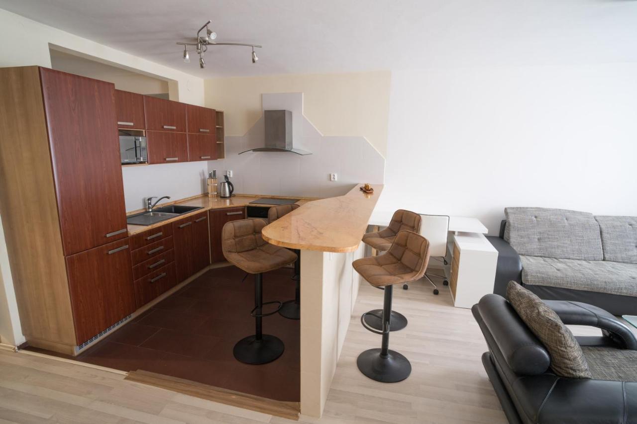 Apartment Vodni With Parking Brno Esterno foto